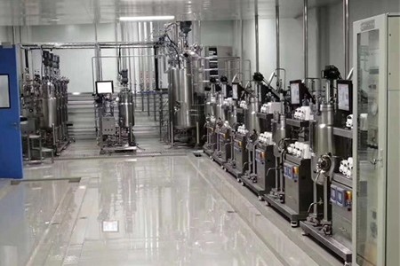 全自動(dòng)實(shí)驗(yàn)室不銹鋼發(fā)酵罐