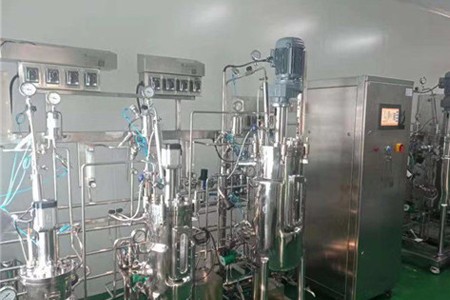 全自動(dòng)實(shí)驗(yàn)室不銹鋼發(fā)酵罐