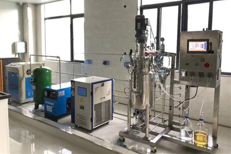 全自動(dòng)實(shí)驗(yàn)室不銹鋼發(fā)酵罐